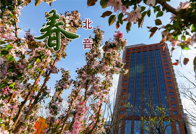 北美女大屌捅逼14c视频网站音春色